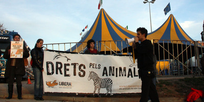 Activistes de LIBERA! protesten davant d'un circ. (Foto: ACN)